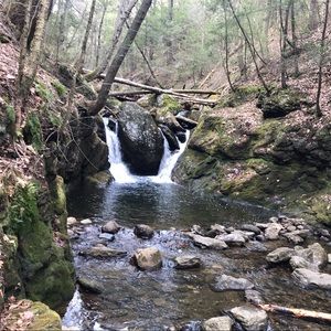 Meet your Posher, Cozy